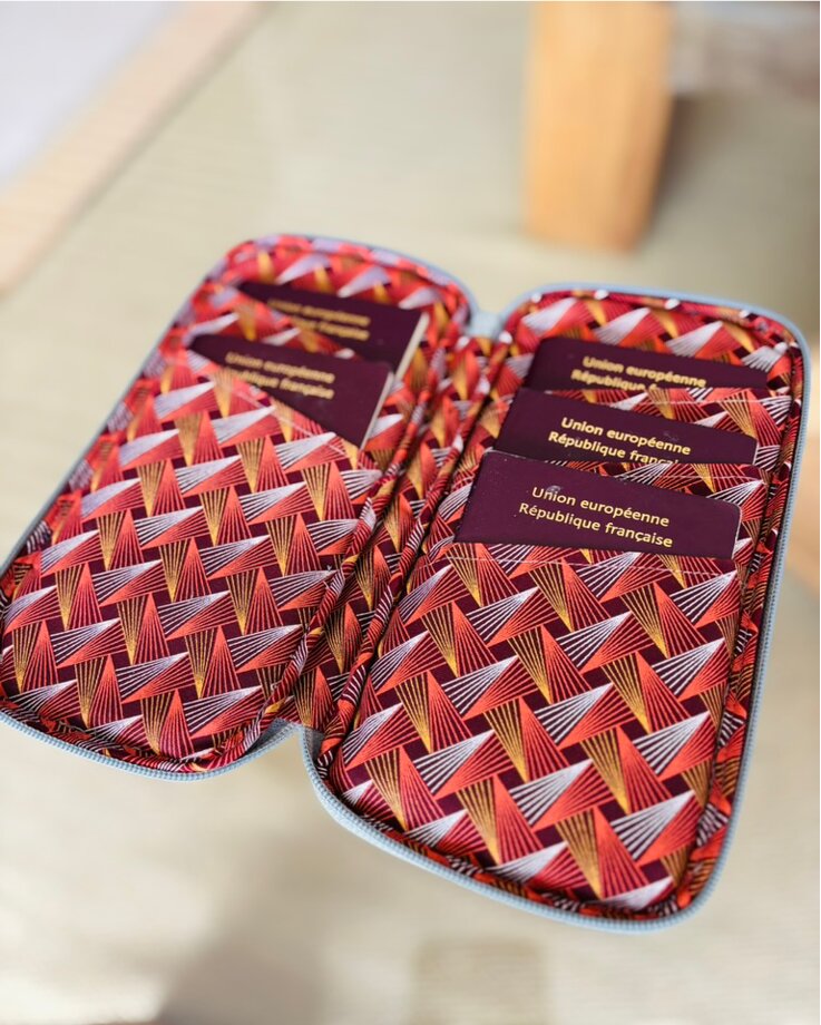 Travel Passport Wallet Flash 1 - Brown